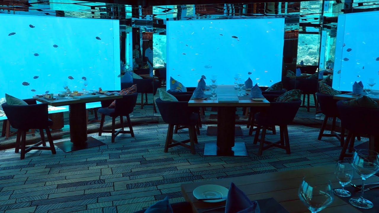 Anantara Kihavah part 2 - SEA underwater restaurant breakfast, AMAZING snorkeling