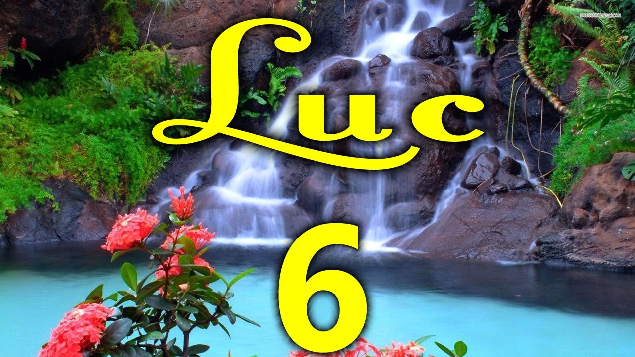 Évangile selon Luc - Chapitre 6 (Version Louis Segond révisée - Colombe - 1978)