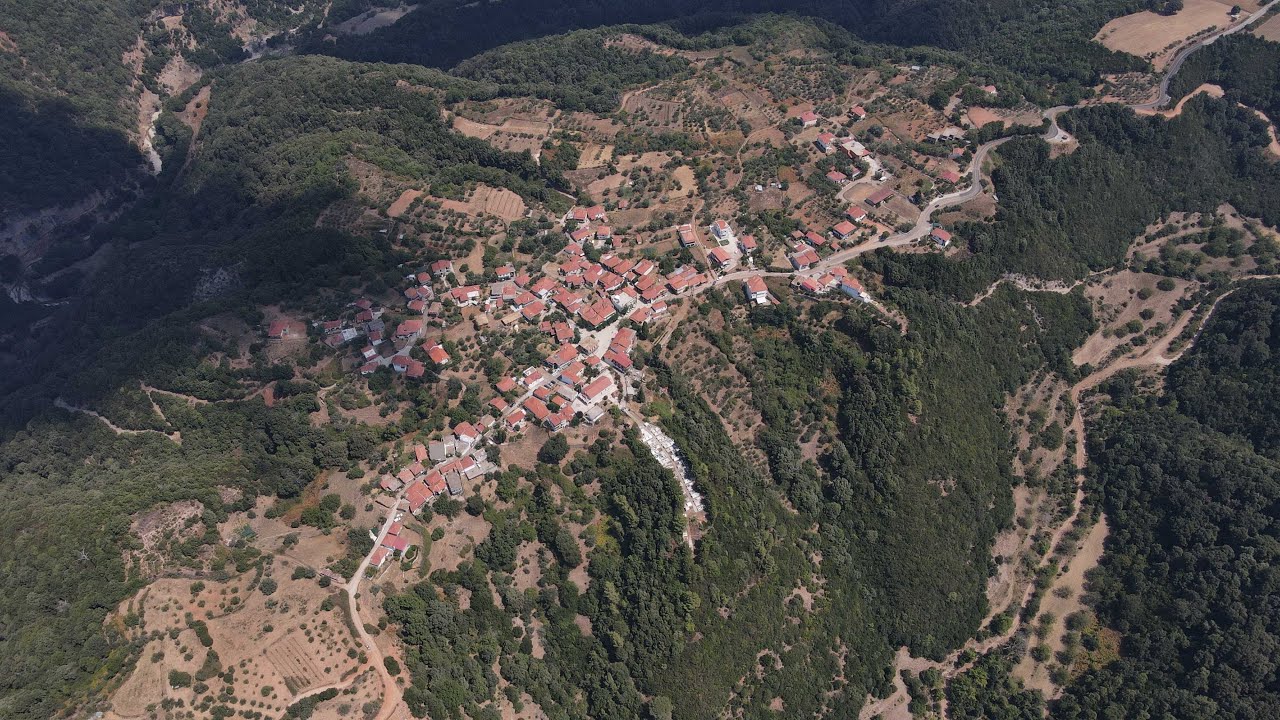 &Phi;&omicron;&lambda;ό&eta; &Eta;&lambda;&epsilon;ί&alpha;&sigmaf; | Foloi Oak Forest Greece drone