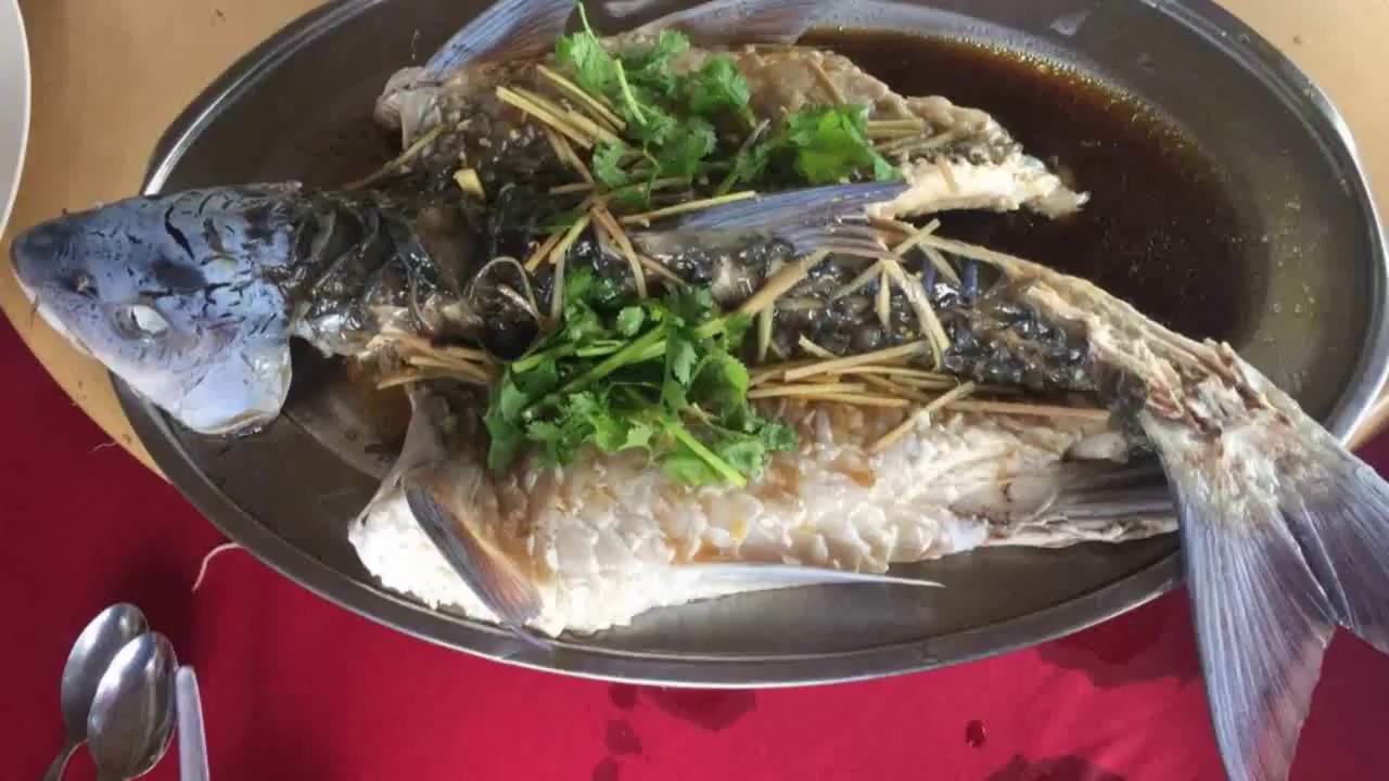 張少林【忘不了】