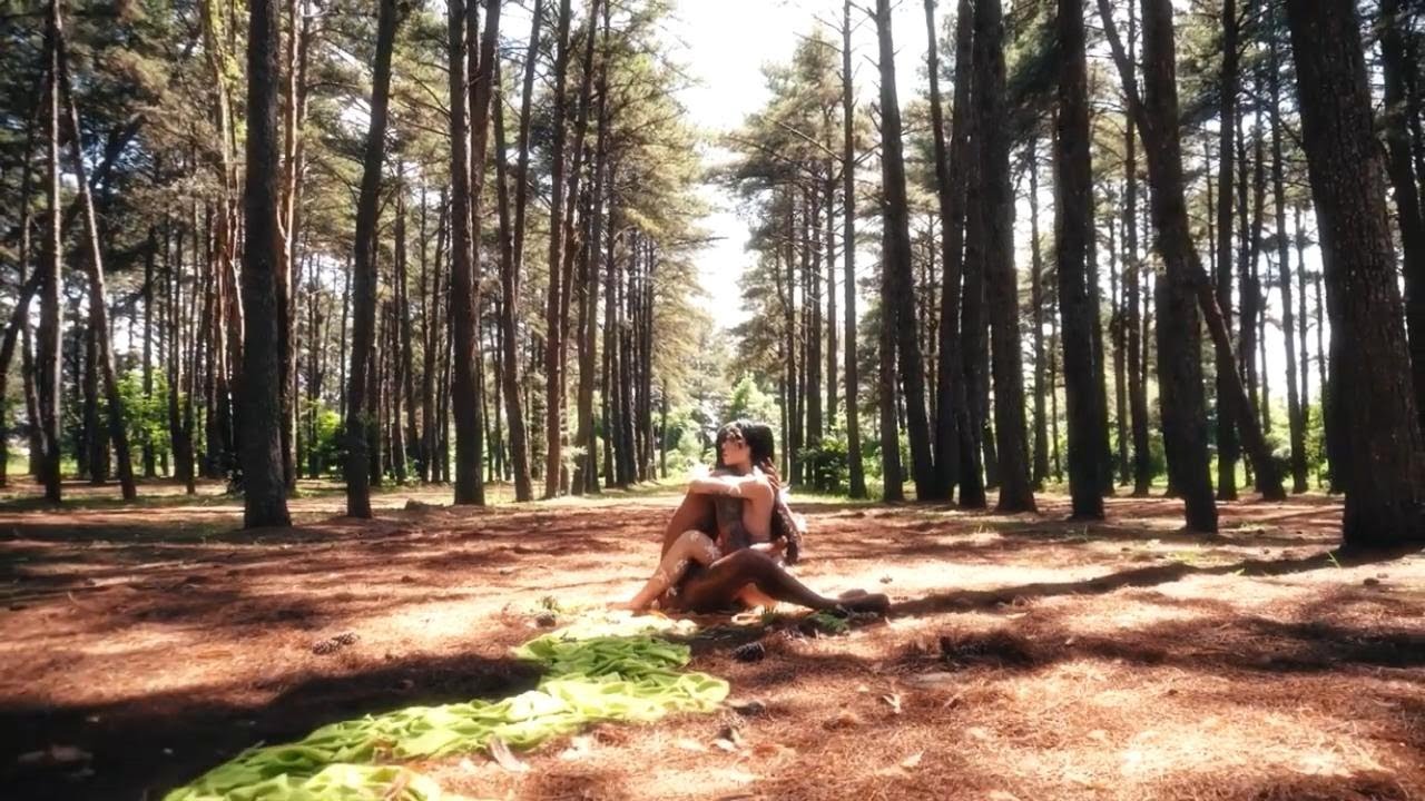 Bruna Liz, Siamese - Trama (Official Video)