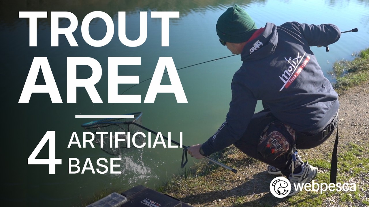 Getting Started in Trout Area: The 4 Essential Artificial Bait and How to Use Them