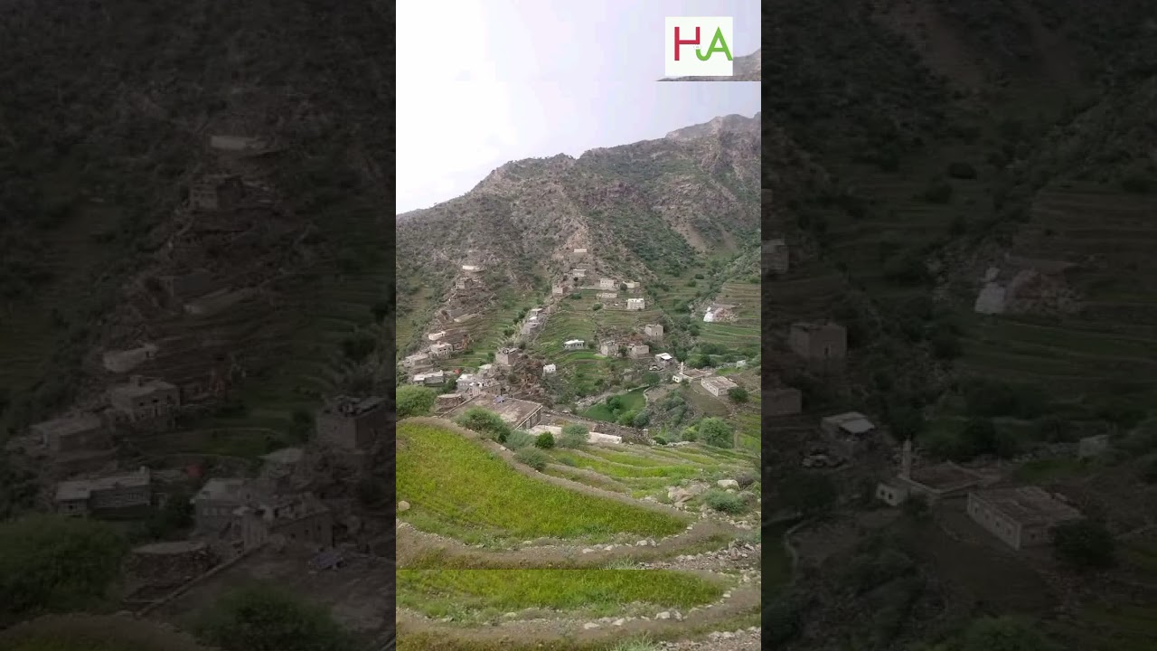 جلسه من تراث القبيطة غناء الفنان صدام القباطي 