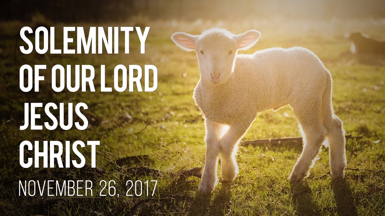 Weekend Reflection - November 26, 2017