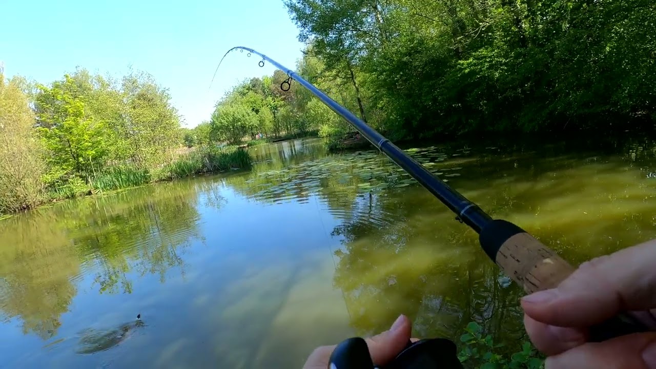 Carp Fishing North Yorkshire Water Park Fisheries 11 May 2025 3rd Carp