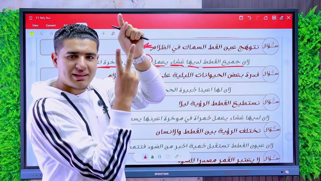 الضوء وحاسة البصر | العلوم | الصف الرابع الابتدائى -2026