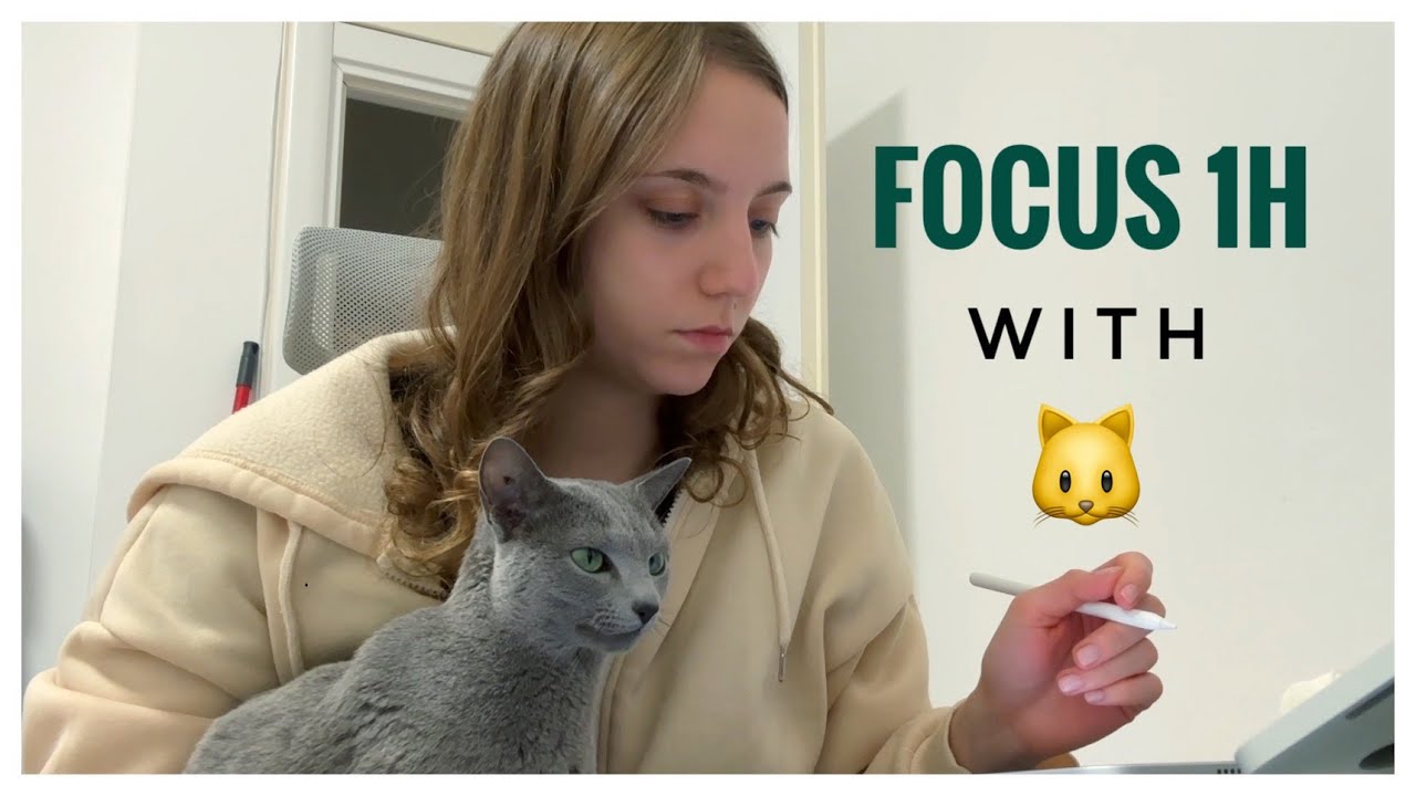 1 HOUR STUDY WITH ME (ambient sounds) - PET THERAPY