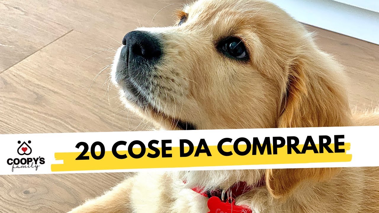 Arriva il cucciolo? Ecco la lista delle 20 cose da comprare per accoglierlo al meglio