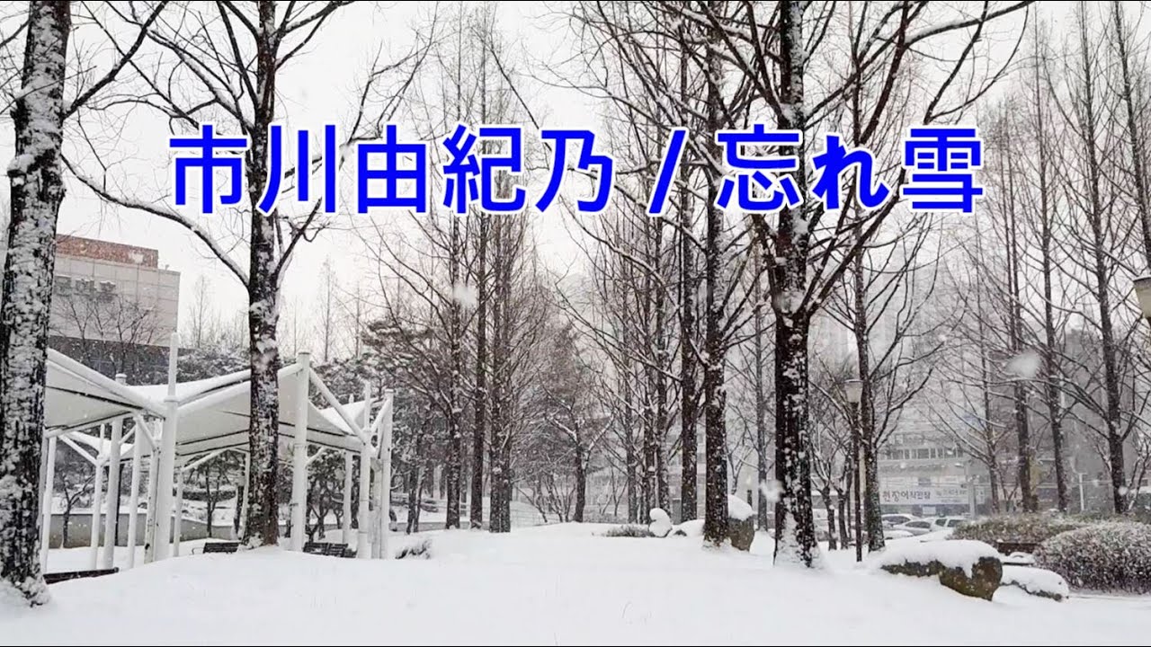 市川由紀乃 3 / 忘れ雪(이치카와유키노/와스레유키)