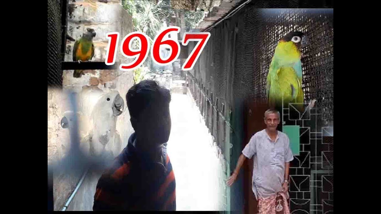 A SPECIAL MEET OF BIRD LOVER SIR SUBRATA CHAKRABORTY'S (PAKHIWALA DAIRY) PART-1