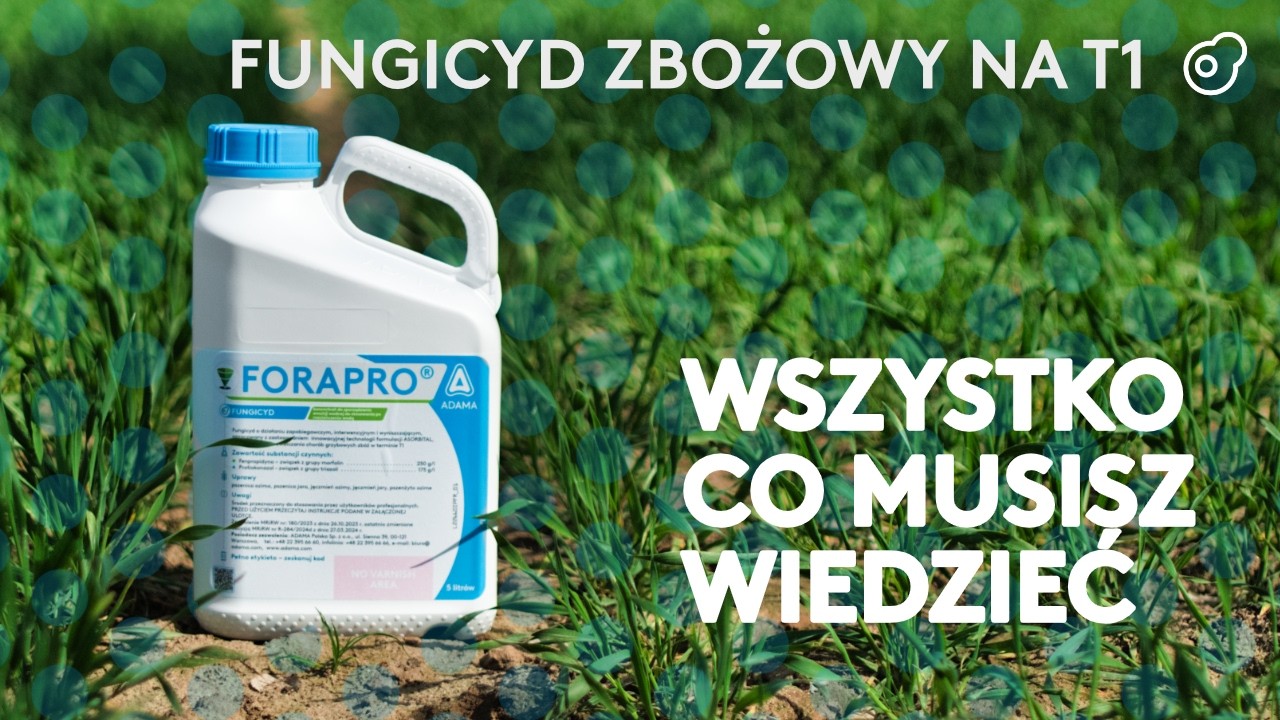 Fungicyd zbożowy na T1 &ndash; wszystko co musisz wiedzieć o Forapro.