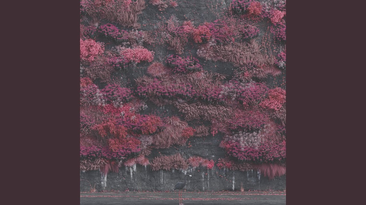 Look To Windward