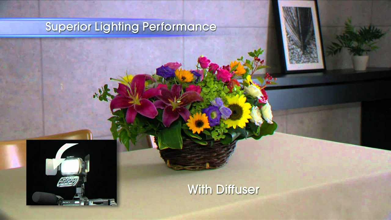 HVL-LBPB (Battery Video Light)