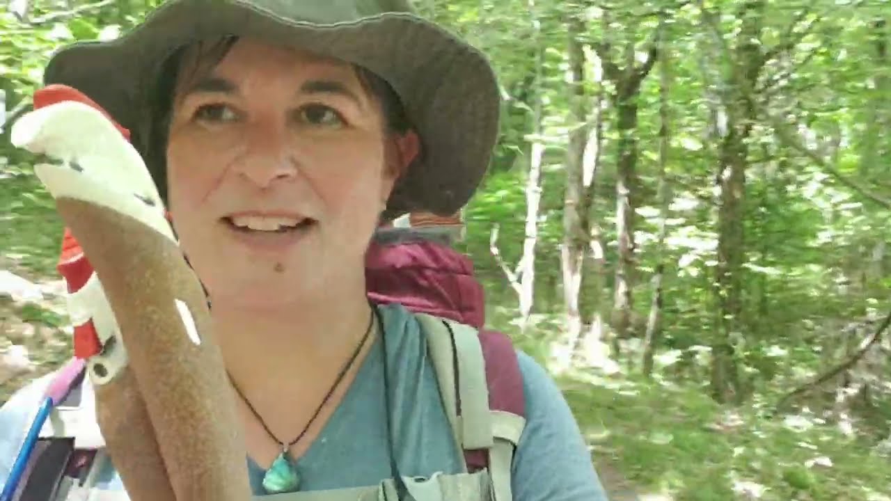 Mon GR70 : sur le Chemin de Stevenson Jours 7 et 8