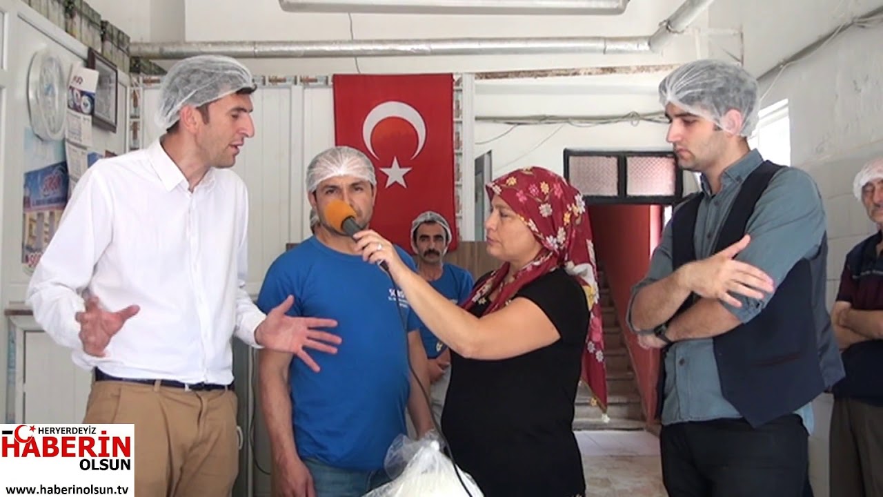 SORGUN PEYNİRLERİ