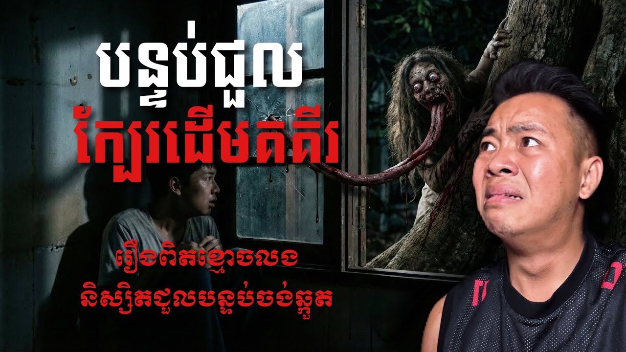 #បទពិសោធន៍ព្រឺរោម | EP២៩៤ វគ្គ បន្ទប់ជួលក្បែរដើមគគីរ! | Ghost Stories Khmer [រឿងពិត] 