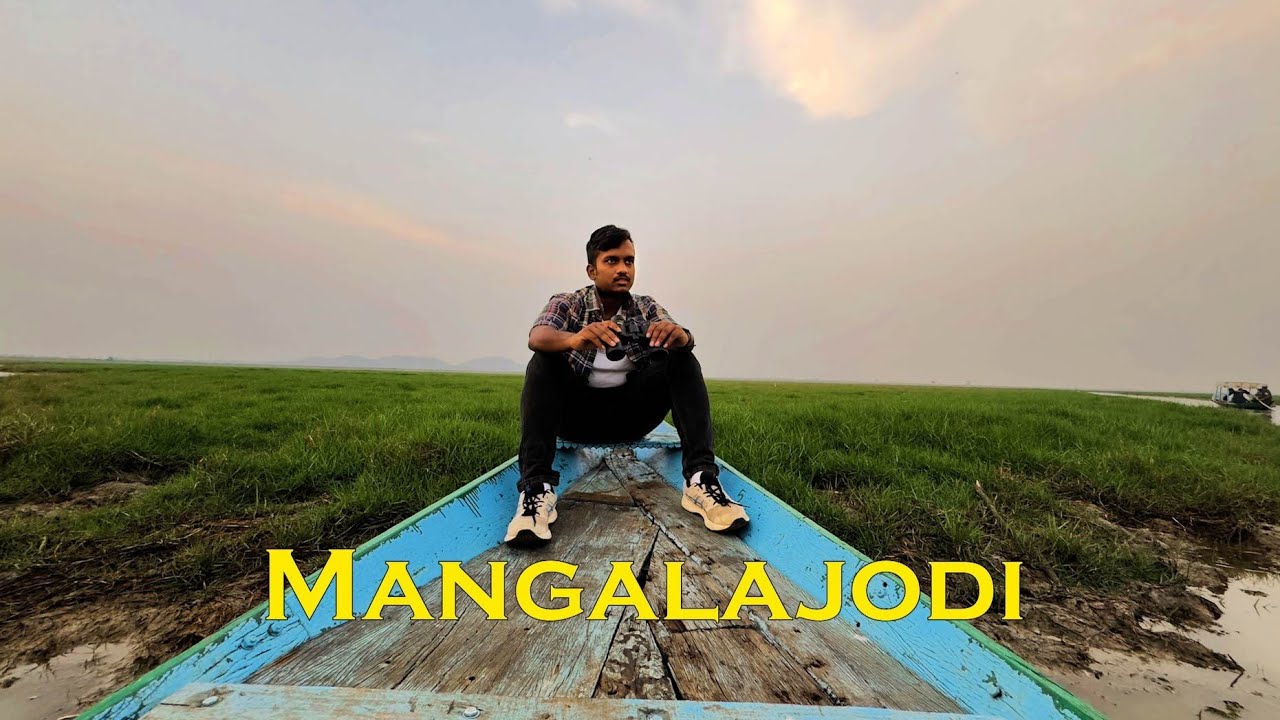 Exploring Mangalajodi | Best place for Bird Sighting | Odisha