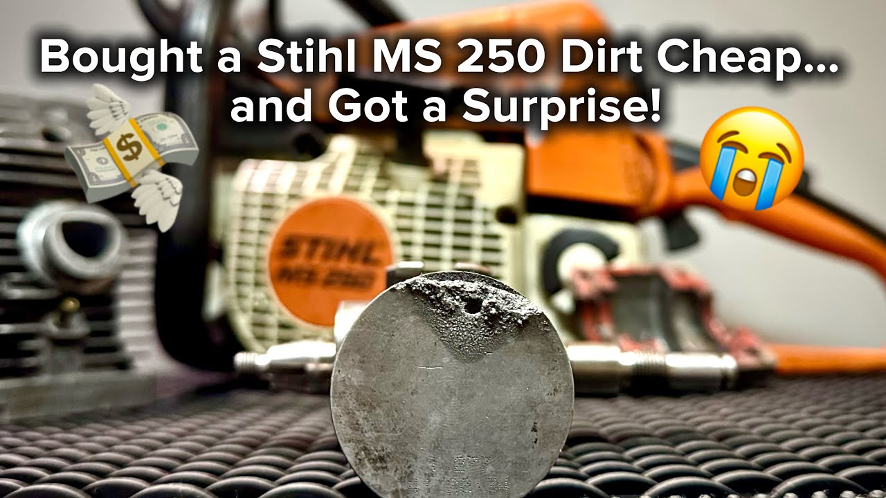 Making Money on Chainsaws: When Things Don’t Go as Planned.Stihl MS 250