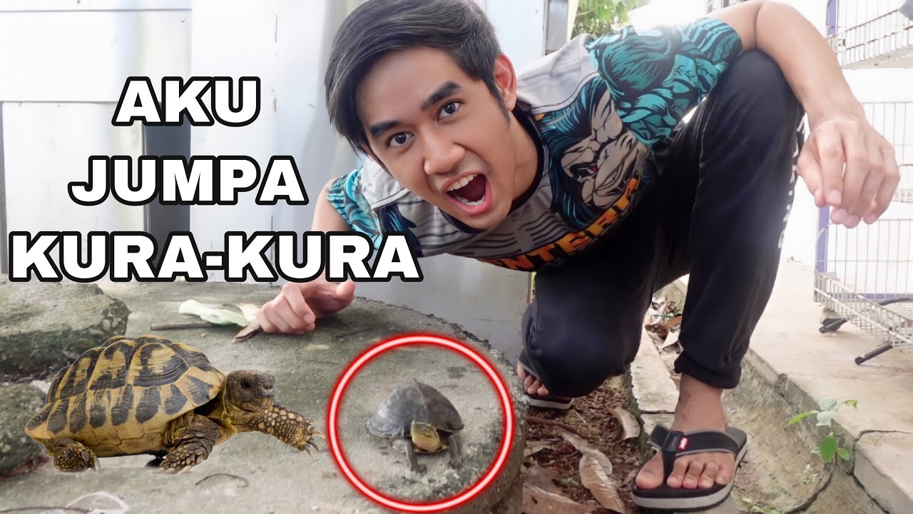 AKU JUMPA KURA-KURA 😂