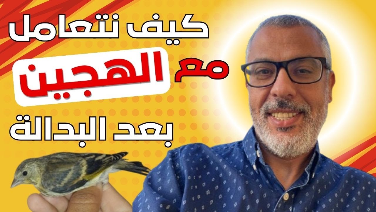 كيف نتعامل مع الهجين  في التلقين بعد غيار الريش أو البدالة