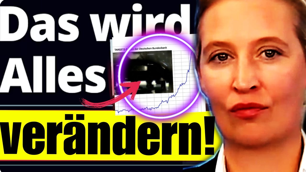 💥WAHNSINN💥 WEIDEL KLARTEXT &Uuml;BER EU-VERM&Ouml;GENSREGISTER | TARGET 2 SALDEN