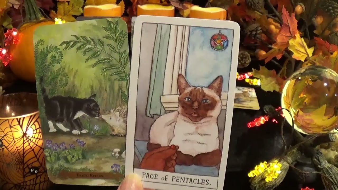 🐈Близнецы | Это да! Вы правы! | Таро на данный момент