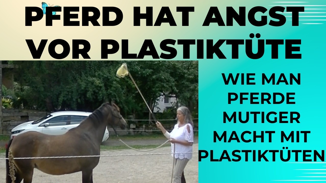 Pferd hat Angst vor Plastiktüte - Inspirationsnachmittag 2025 Teil 2