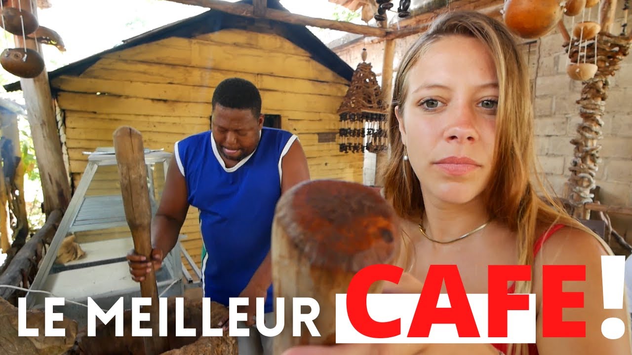 ON DÉCOUVRE LA PRODUCTION DU CAFÉ 🌿☕️ (et du cacao🍫 )