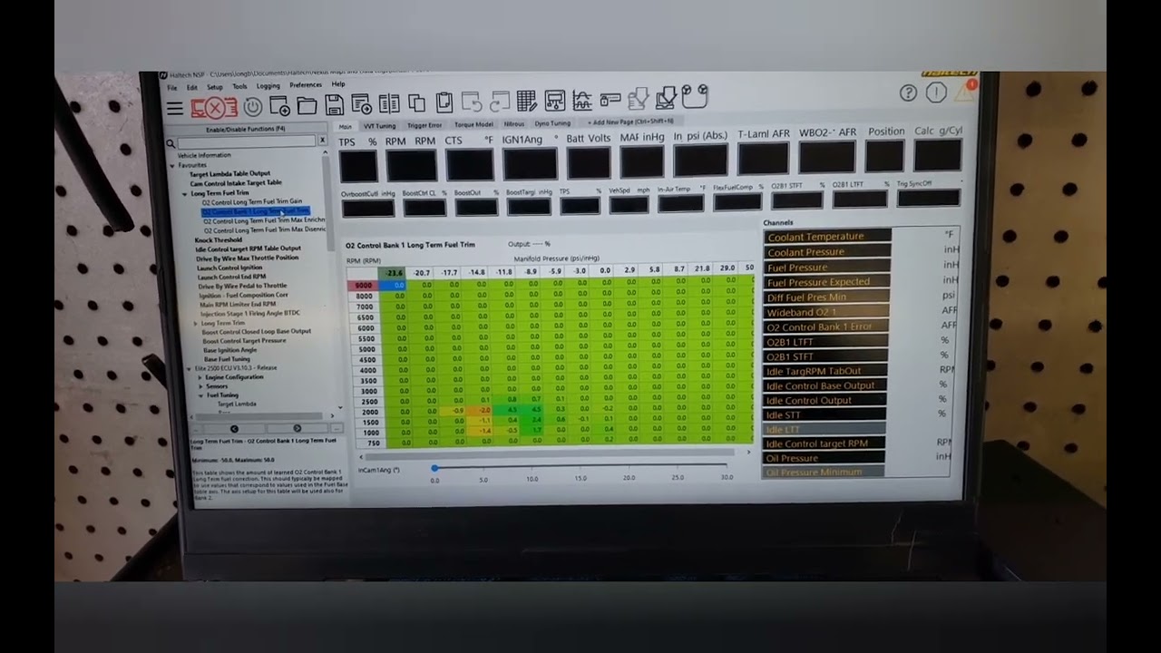 Long Term Trims in Haltech NSP software