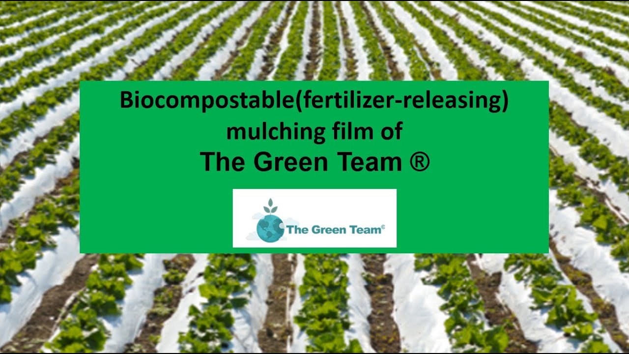 Biocompostable Mulching Film of The Green Team &reg;