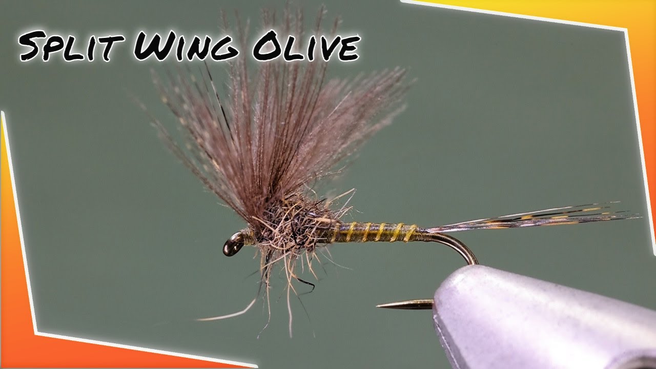 Tying a split wings CDC/ Coq de Leon dry fly pattern .(Medium Olive Dun)