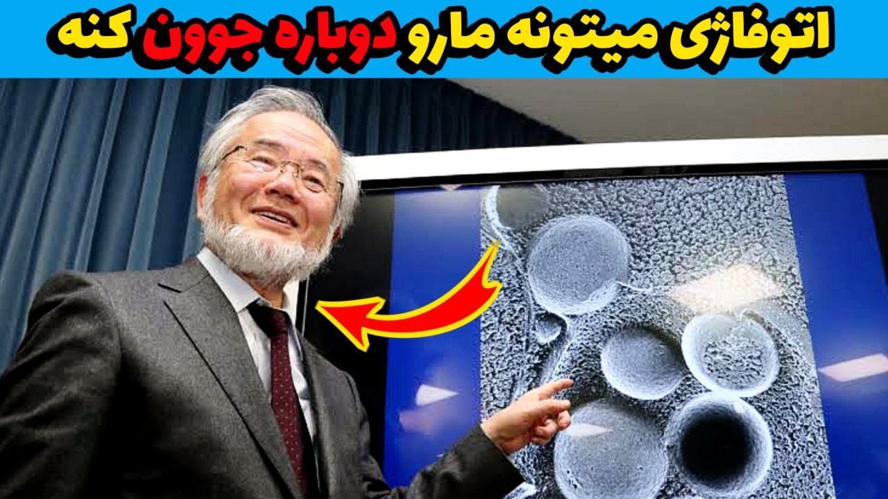 اتوفاژی بدنت رو فعال کن و دوباره جوان شو | Activate your body's autophagy and become young again