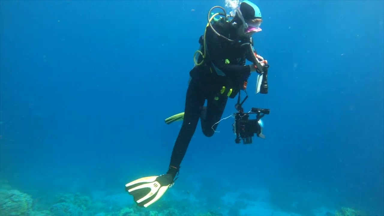 Discover Red Sea - Diving Holiday El Gouna 🇪🇬