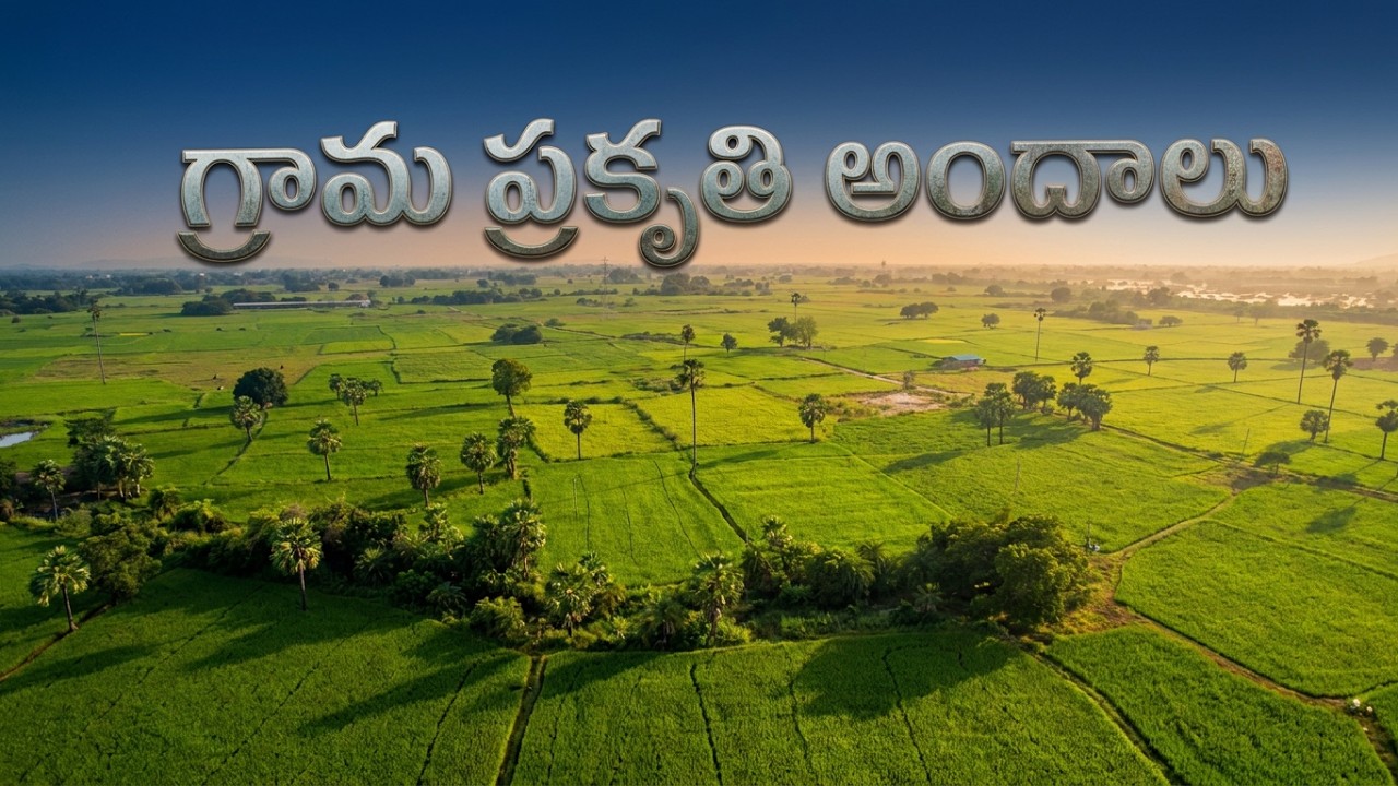 The beauty of the village nature | drone agriculture telugu | Drone Visuals