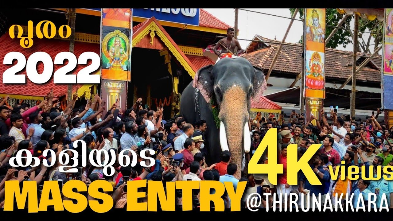 chirakkal kalidasan mass entry @thirunakkara. #kottayam #ulsavam #temple #chirakkalkalidasan