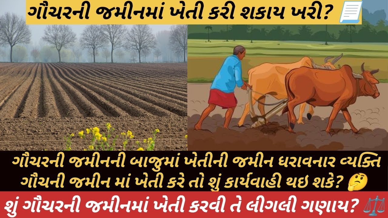 @Sonalbaria1992 શું ગૌચરની જમીનમાં ખેતી કરવી તે લીગલી ગણાય?⚖️🤔#khedut#gaucharland#gujarat #landlaw 