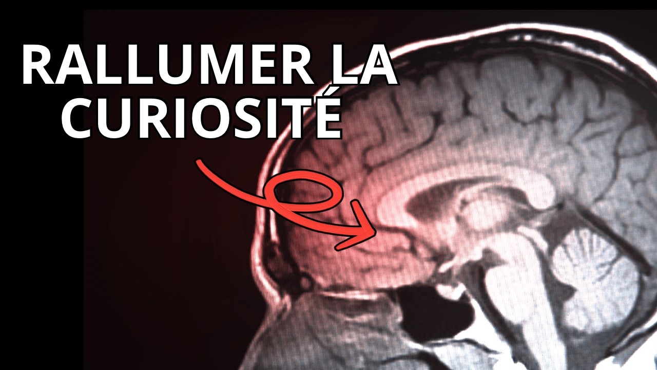 Comment activer la curiosité permet aux élèves de mieux apprendre ?
