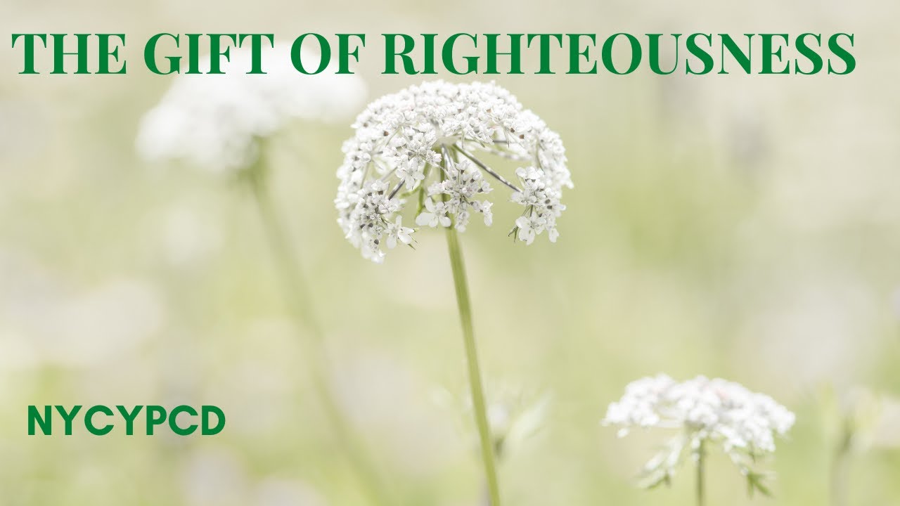 The Gift of Righteousness