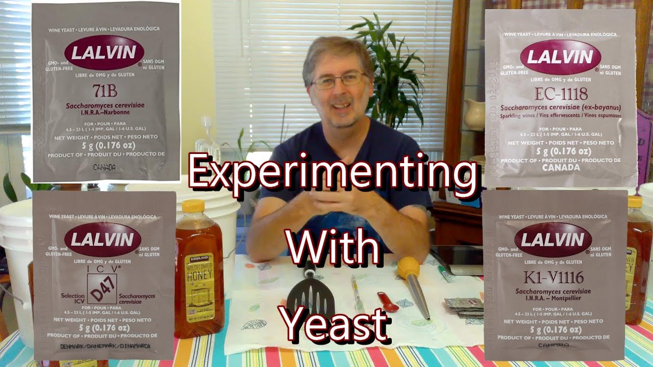 Yeasts Part 1