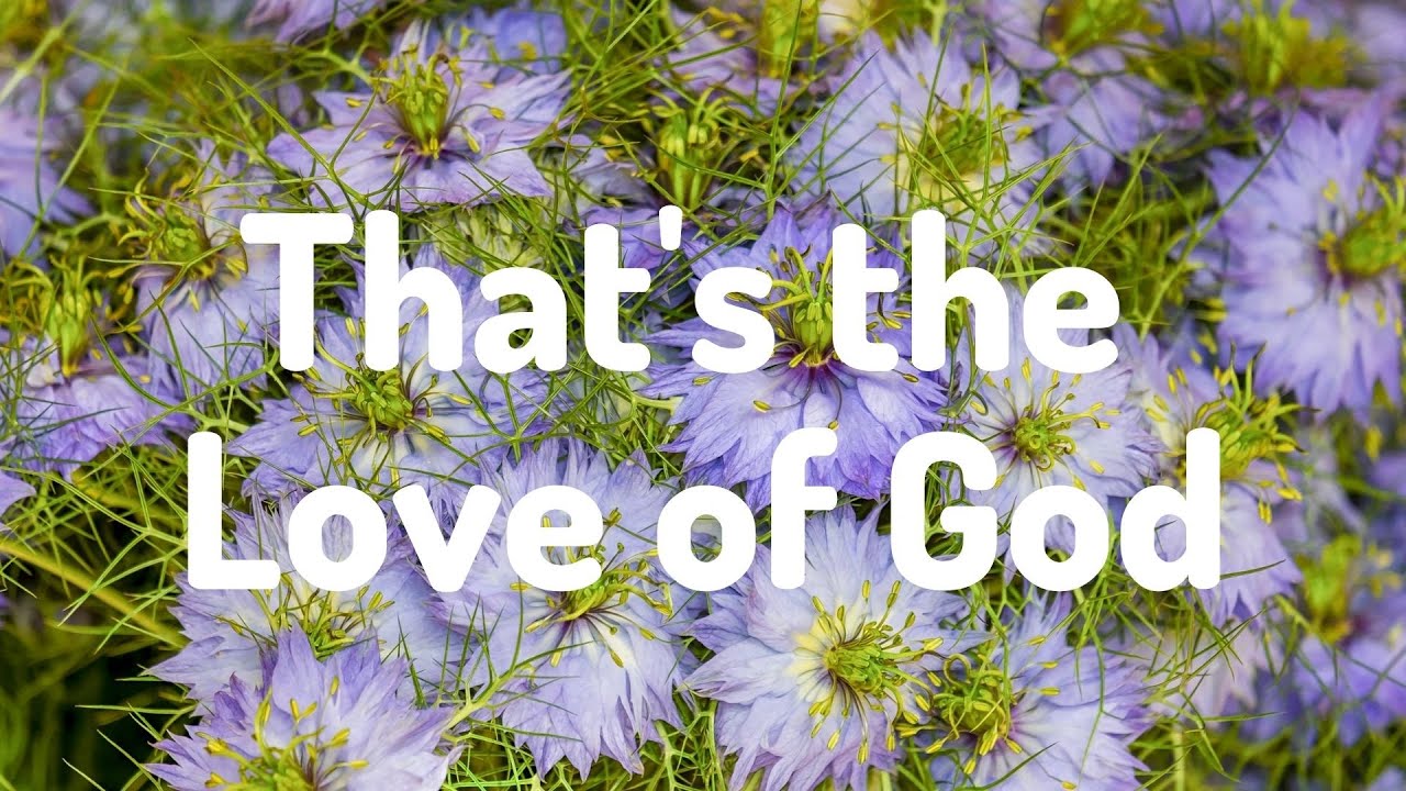 THAT'S THE LOVE OF GOD || MINUS ONE