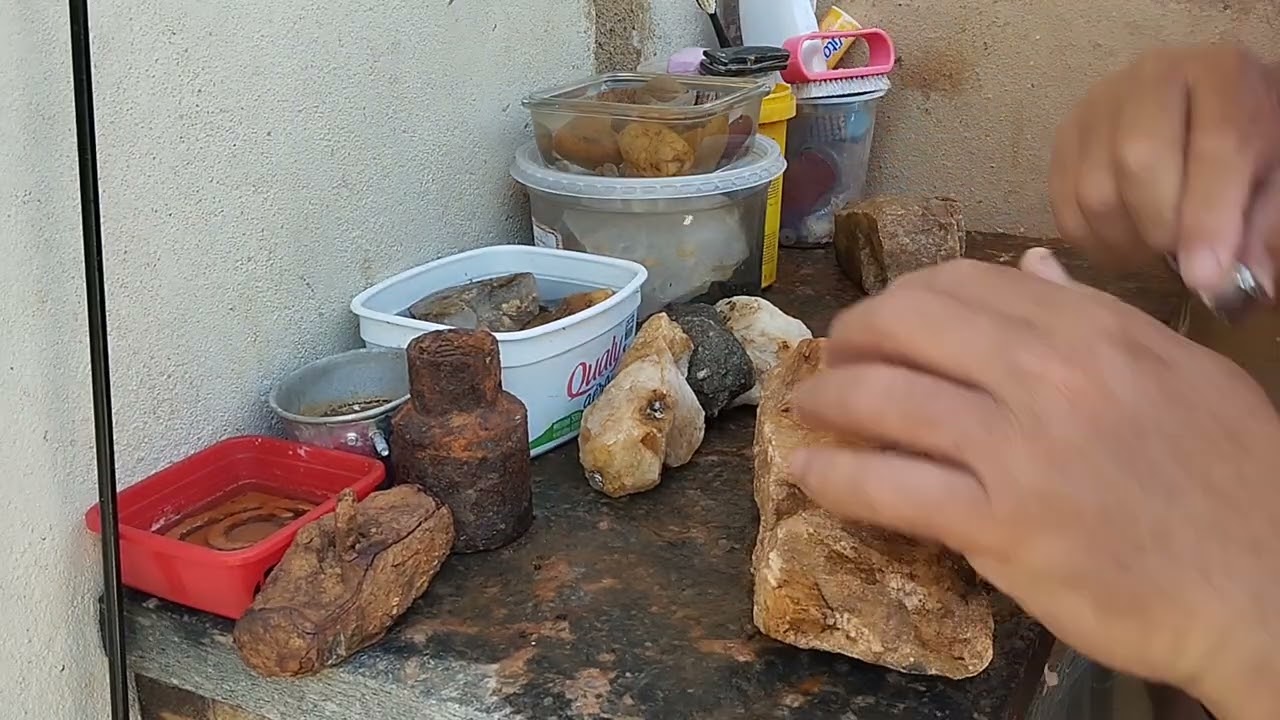 Pepita ouro VD completo fica até final