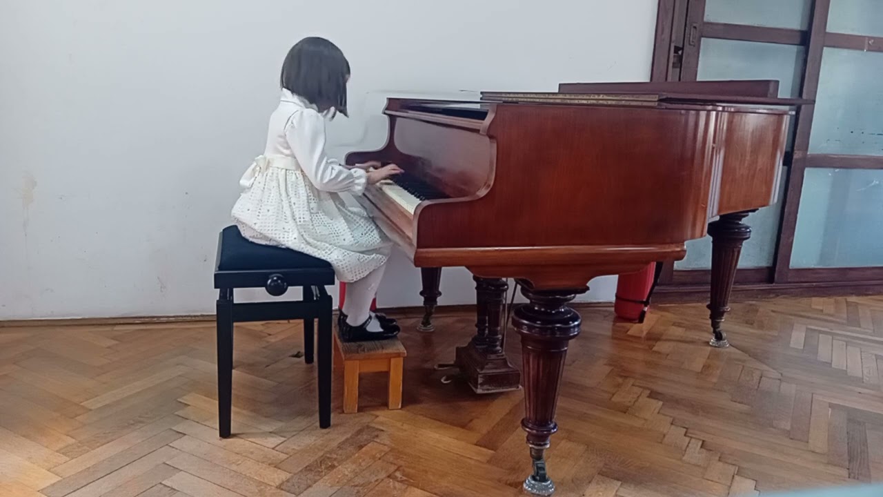 Dănila Maria Elisabeth, J.S .Bach, Poloneza-Sol minor