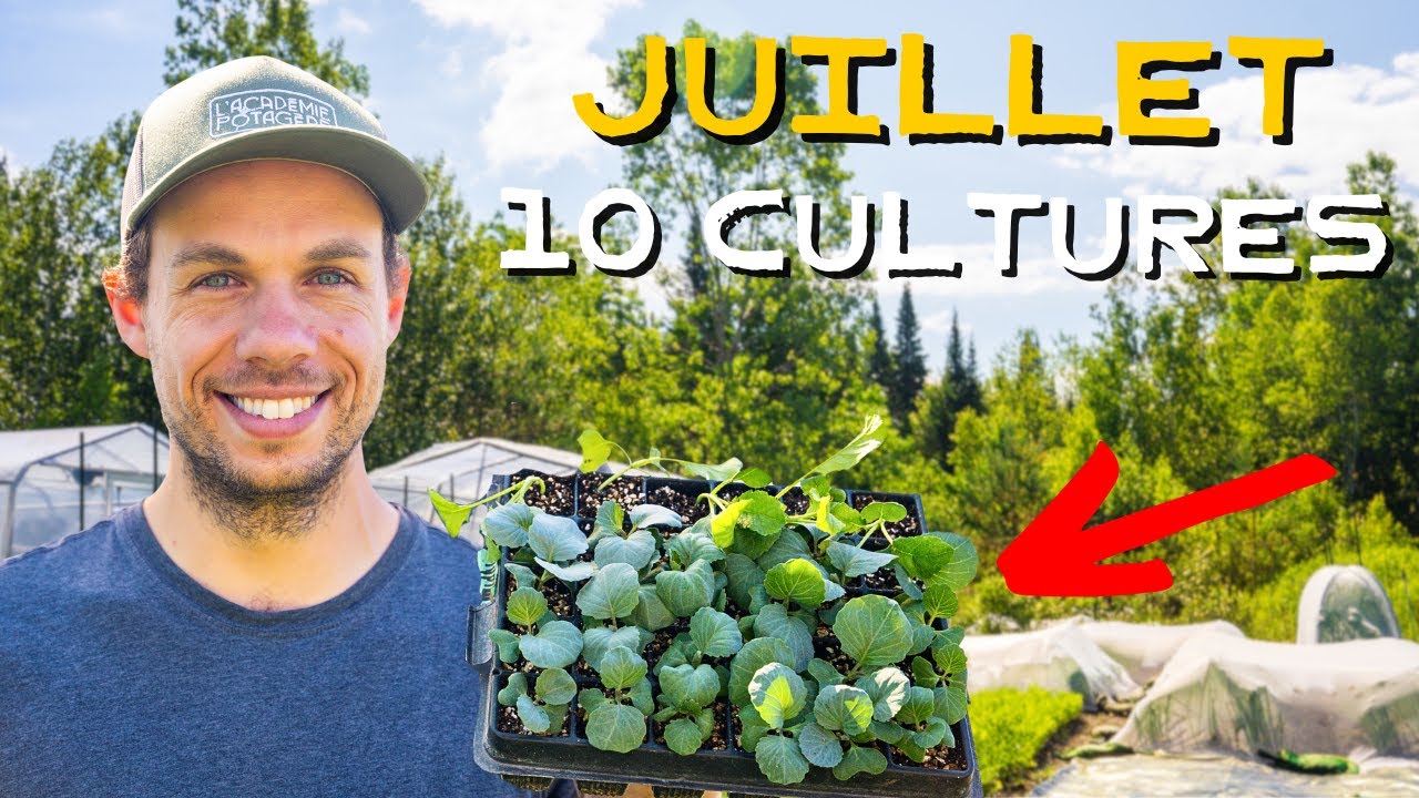 QUOI planter en JUILLET pour prolonger les récoltes? 🌱