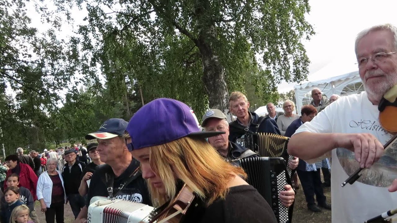 Vägen till Dalstugan av Jonas Knutes