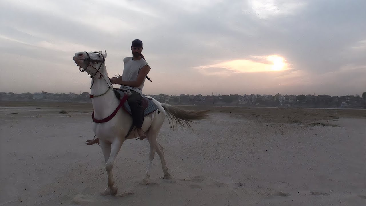 Raphaël TREZA - NIGHT GHAT (Video Clip)