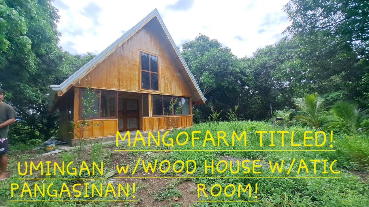 #vlog #739 MANGOFARM WITH WOOD HOUSE IN UMINGAN PANGASINAN 1HAS TITLED 5.5MILLION