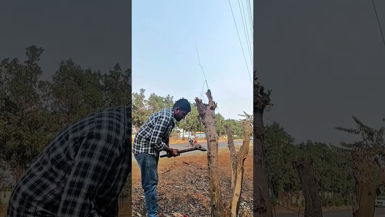 others friends vs my friend 