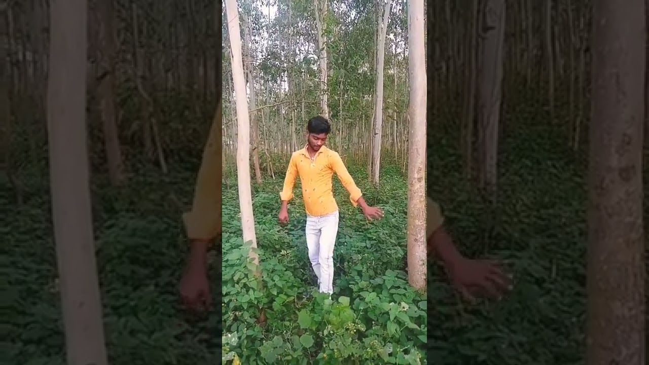 fxdd