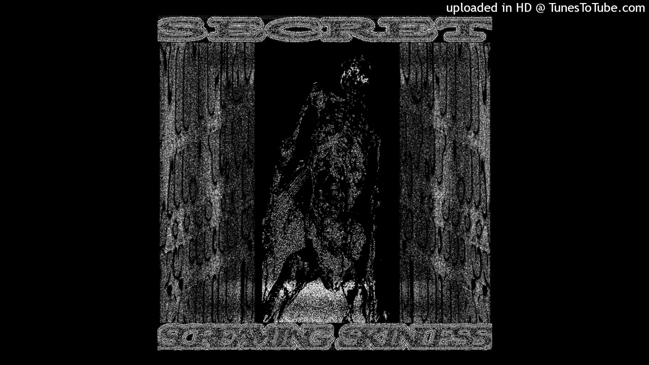 Screaming Skinless - Secret