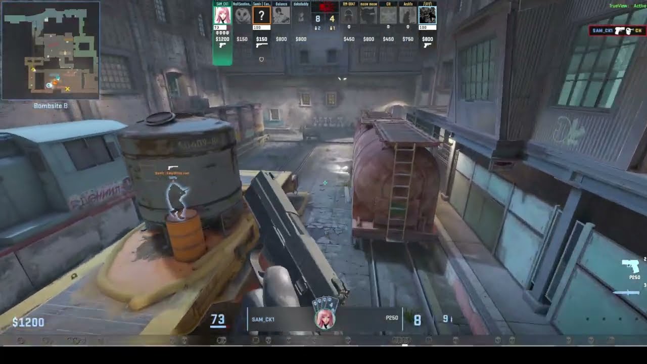 My 1st p250 ACE CS2